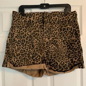 GUC Express Shortie High Rise leopard print shorts size 12